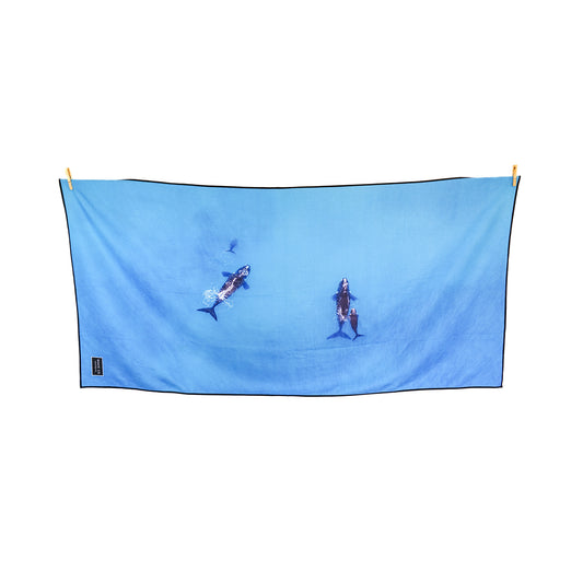 Southern Right Whale