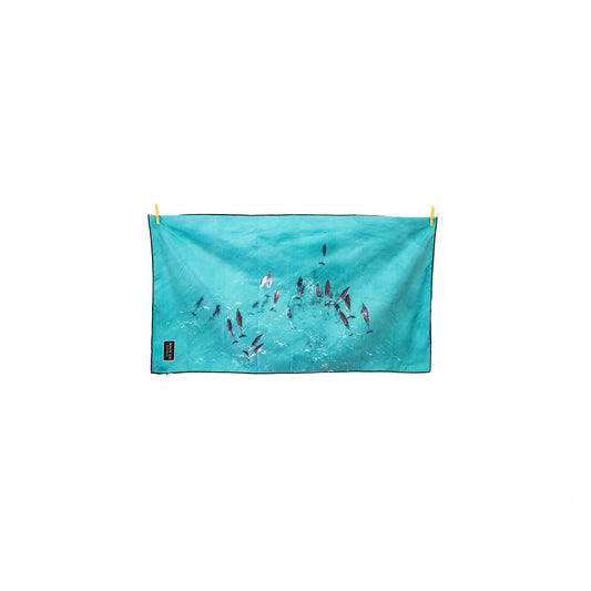 Dolphins