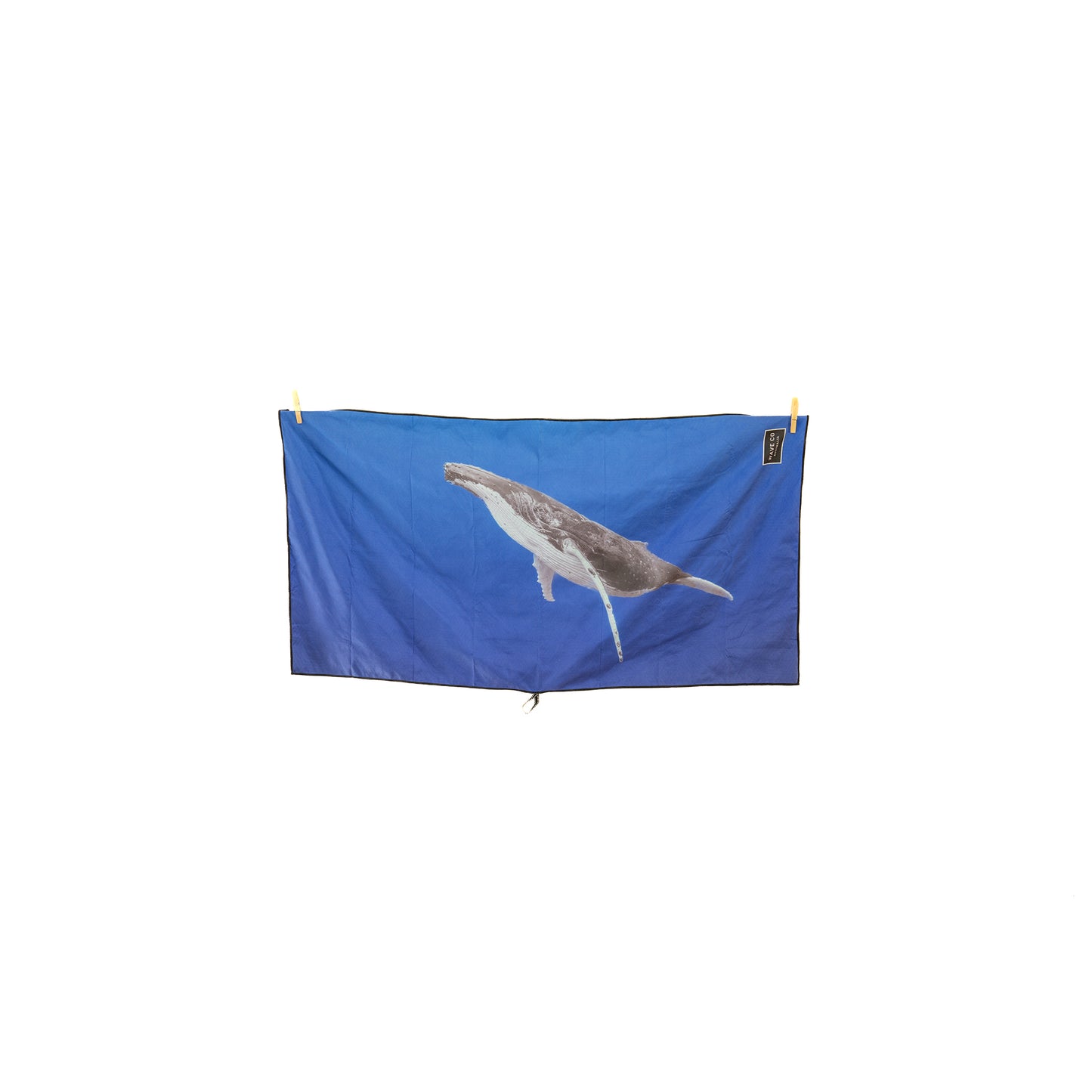Humpback