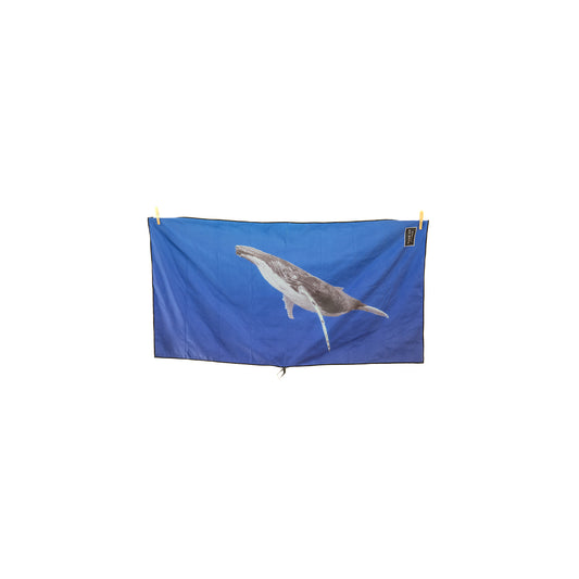 Humpback