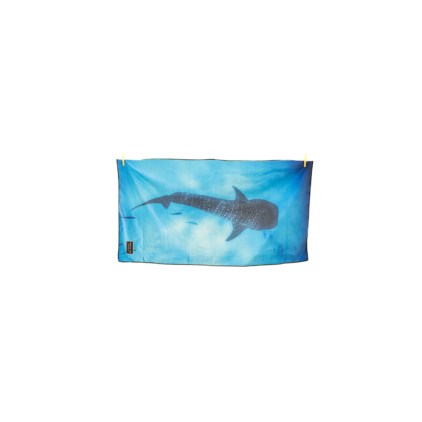 Whale Shark
