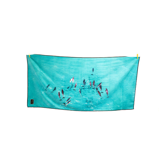 Dolphins