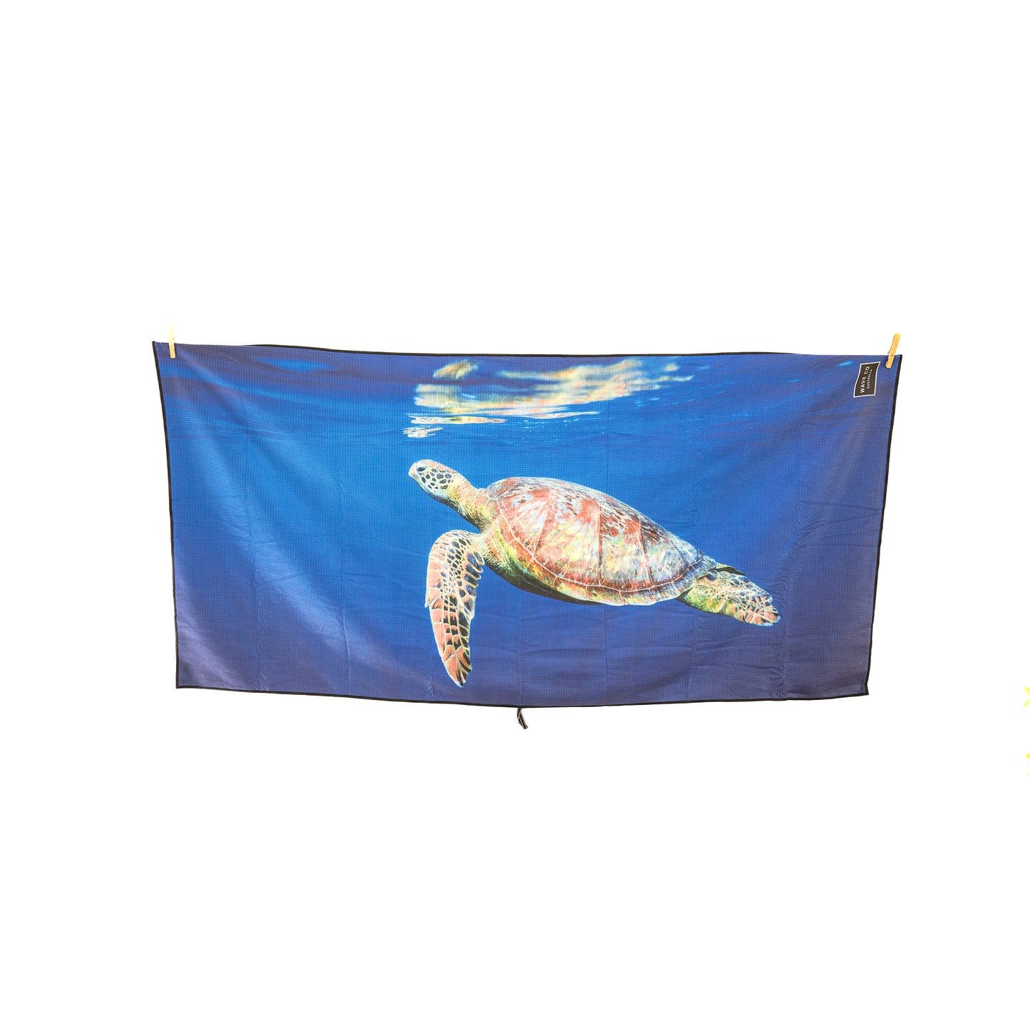 Turtle Reflection